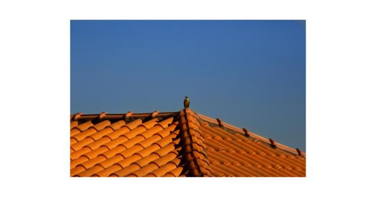 Professional Roofing Service in Waterlooville PO7 7DT – Trusted Solutions by K & S Roofing Ltd